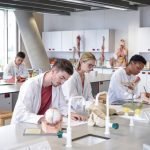 How to apply for basic sciences and medical courses in the Caribbean islands