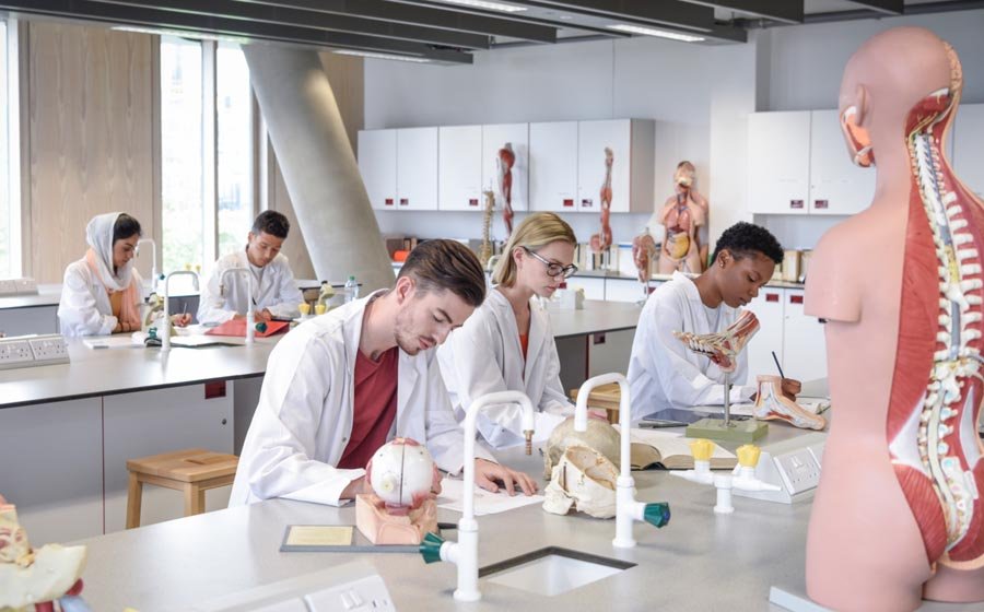 How to apply for basic sciences and medical courses in the Caribbean islands