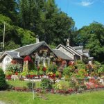 8 Steps to Create Your Dream Garden for a New House
