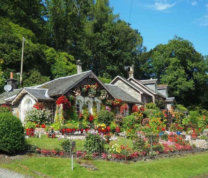 8 Steps to Create Your Dream Garden for a New House