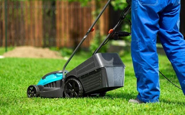 Things You Should Not Do During Mowing