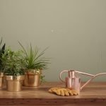Sustainable Plant Care