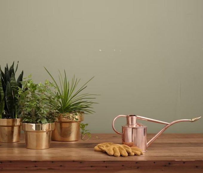 Sustainable Plant Care