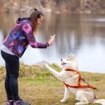 Dog Training Methods