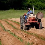 How Much Salt Belongs in Your Soil 2