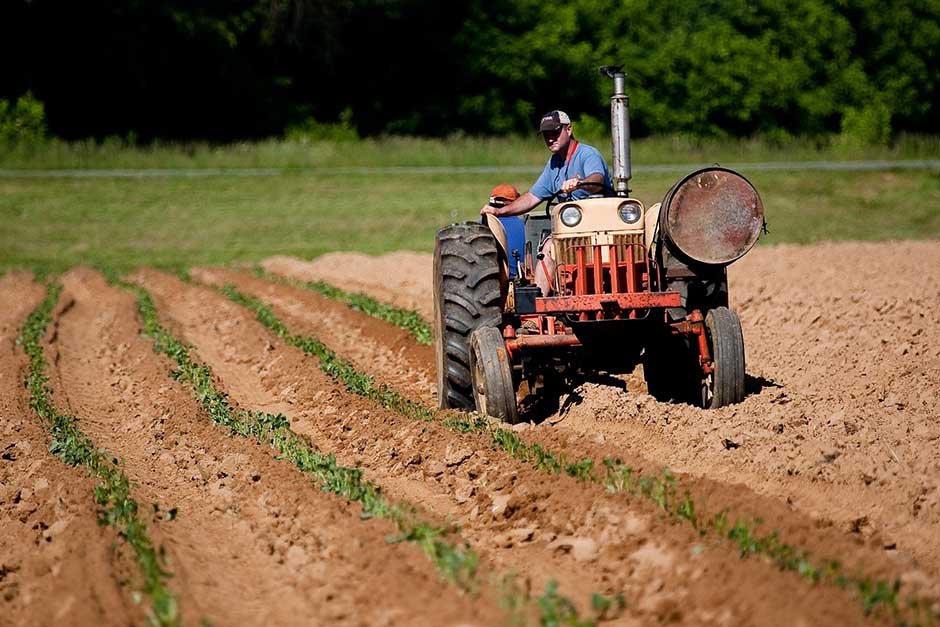 How Much Salt Belongs in Your Soil 2