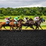 How To Stay Safe When Riding A Horse