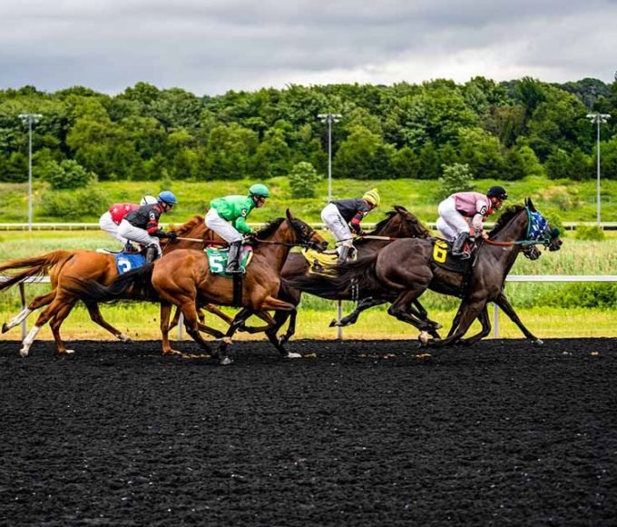How To Stay Safe When Riding A Horse