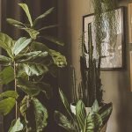 Art of Stylish Living