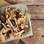 Dried Mushrooms