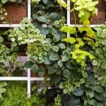 Incorporate Vertical Gardening