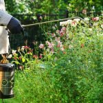 Mosquito Control in Augusta