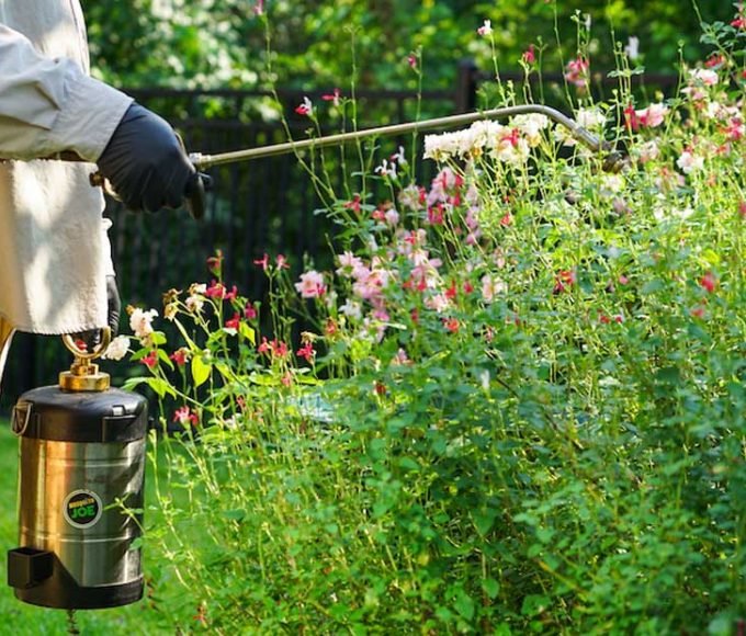Mosquito Control in Augusta