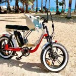 The Soletan is Addmotor’s Best Electric Beach Bike