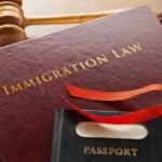 An Immigration Lawyer
