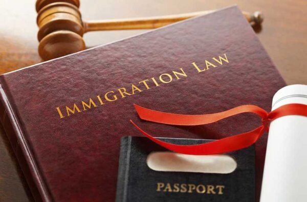 An Immigration Lawyer