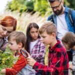 Best Ideas for Homeschooling Field Trips