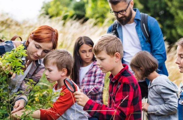 Best Ideas for Homeschooling Field Trips