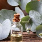 Eucalyptus Essential oil by Gya Labs