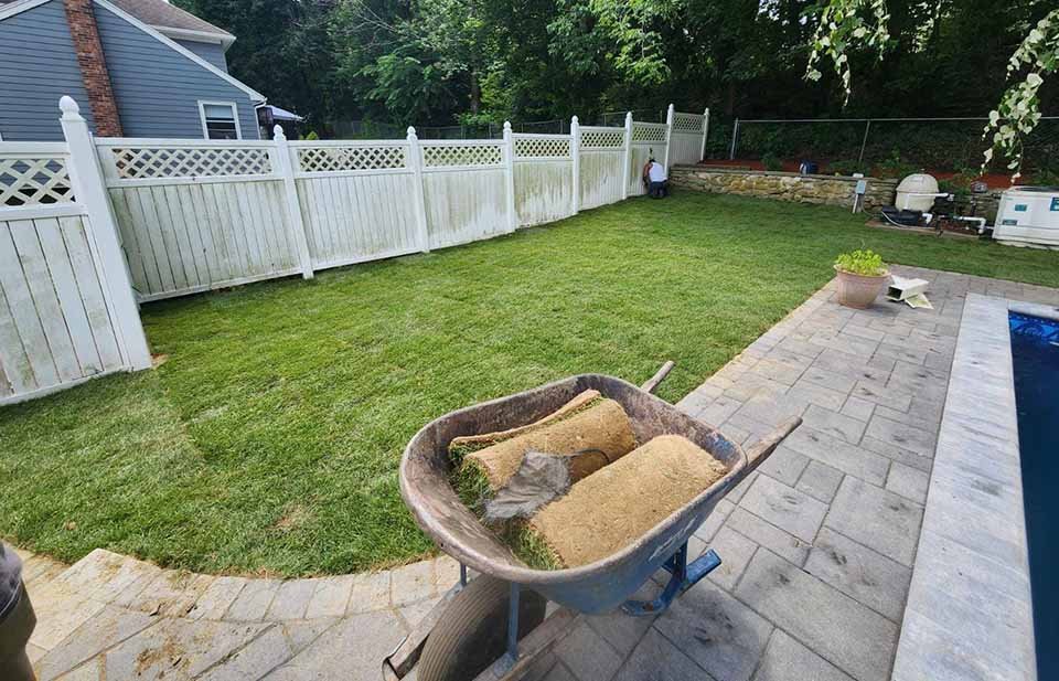 What Is Loom For Grass