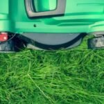 Four Effective Tips to Maintain an Amazing Backyard