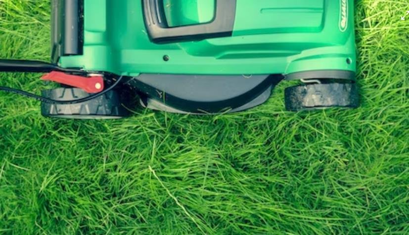 Four Effective Tips to Maintain an Amazing Backyard