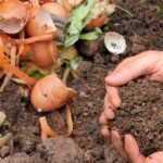 Guide to Composting at Home
