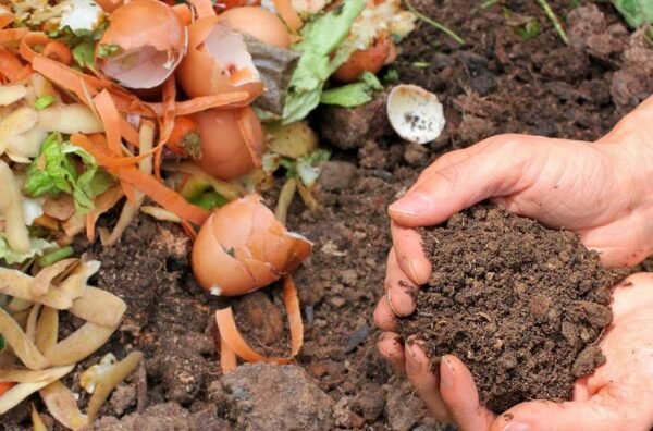 Guide to Composting at Home