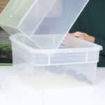 Safely Store and Maintain Dubia Roaches for Feeding