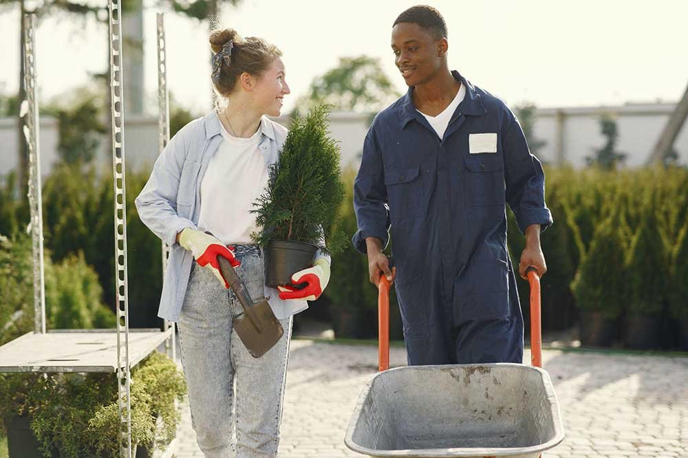 Landscape maintenance services