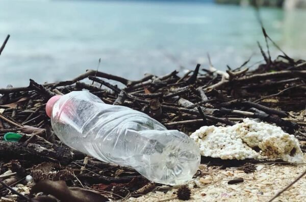 Improper Waste Disposal