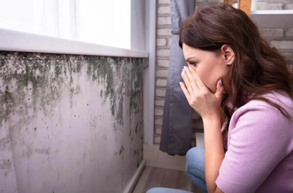 The Health Risks of Mold and Mildew