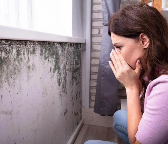 The Health Risks of Mold and Mildew
