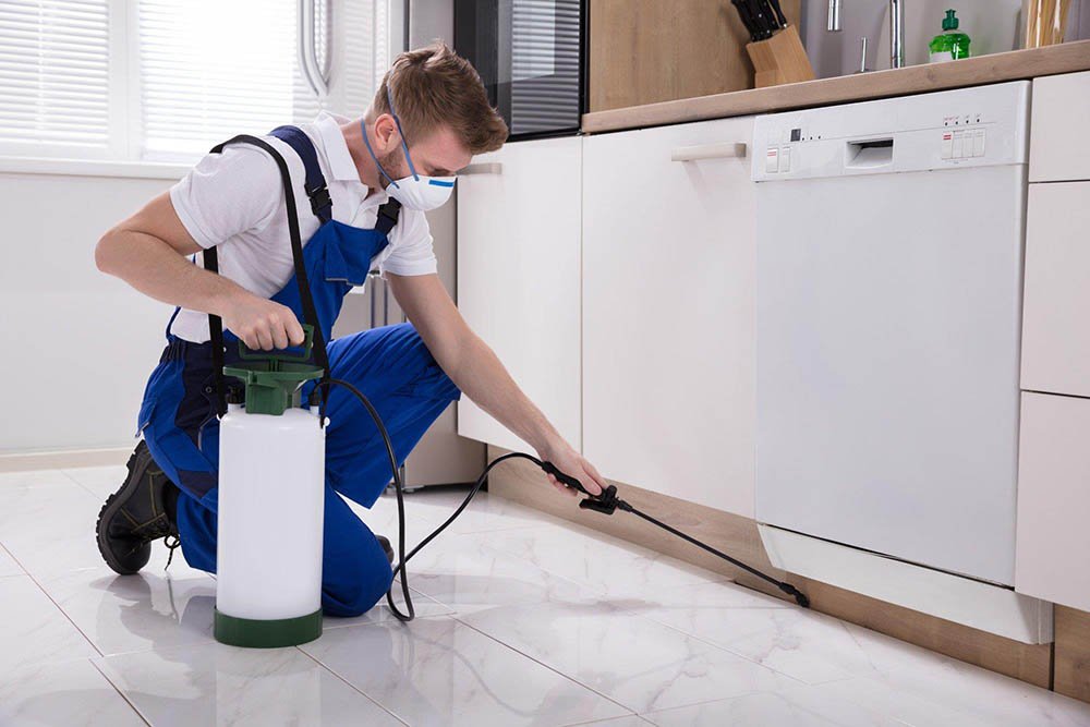 8 Tips for Finding Residential Pest Control