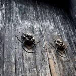 Decoding the Quality