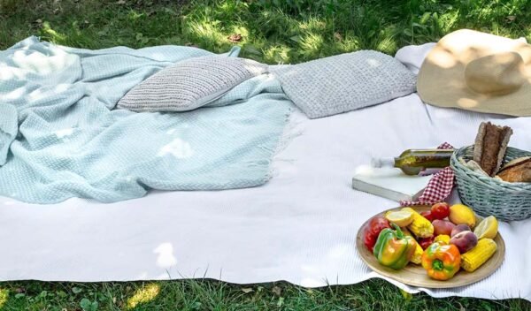 Enhance Your Patio Oasis