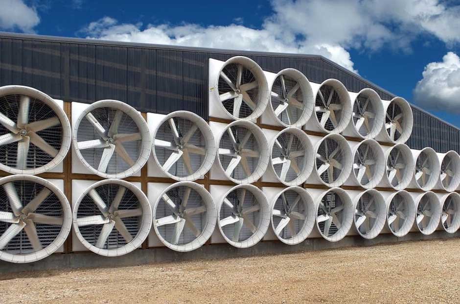Exhaust Fans in Livestock Barns