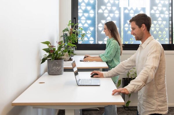Standing Desks and Design Innovations