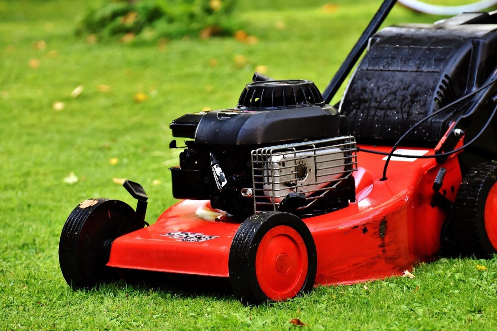 The Top 5 Benefits of Hiring a Professional Residential Lawn Service
