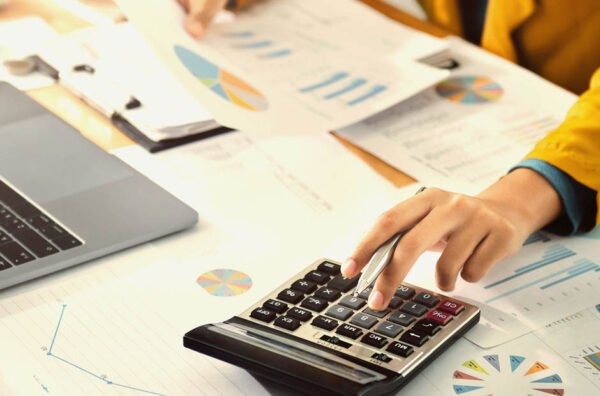 A Deep Dive into the Analytics of Paystub Generator Data