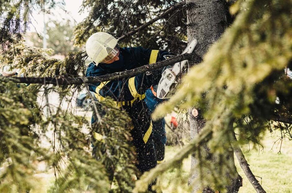 Effective Tree Removal