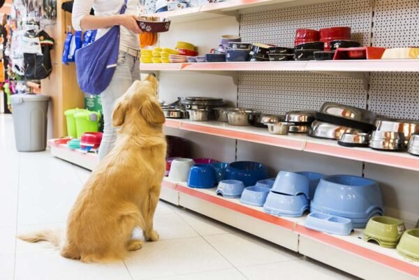 Opening a Pet Store