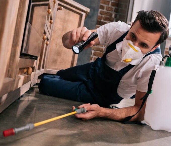 Pest Control Treatments