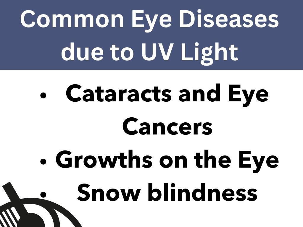 The Art of Pairing Polarized Sunglasses with Your Lifestyle 2