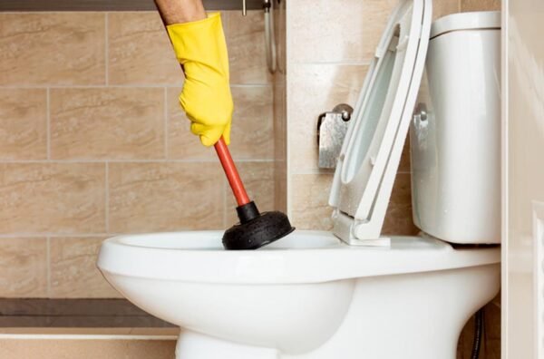 Common Toilet Issues a Plumber