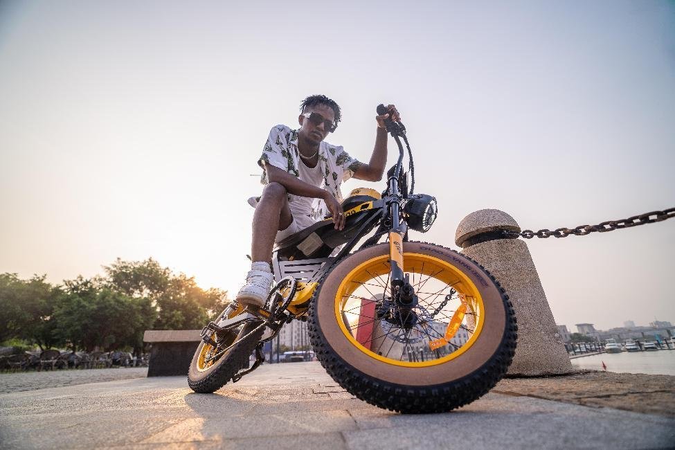 Environmental And Social Impact Of Adults bike electric 2