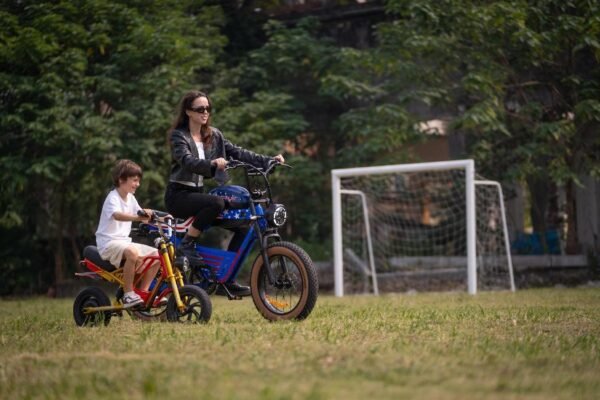 Environmental And Social Impact Of Adults bike electric