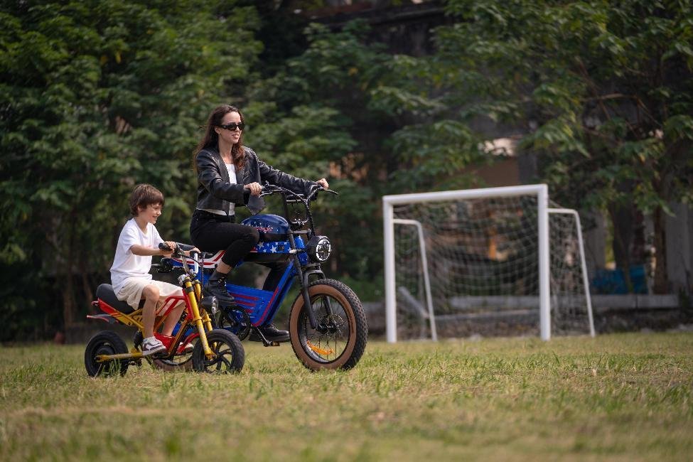 Environmental And Social Impact Of Adults bike electric