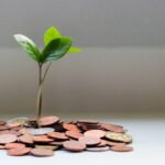 Rebuilding Financial Health