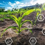 Sustainable Technology Smart Farming